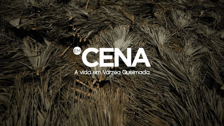 кадр из фильма Em Cena: A vida em Várzea Queimada