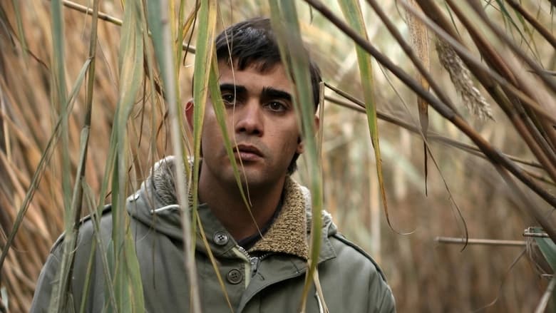 кадр из фильма Молоко