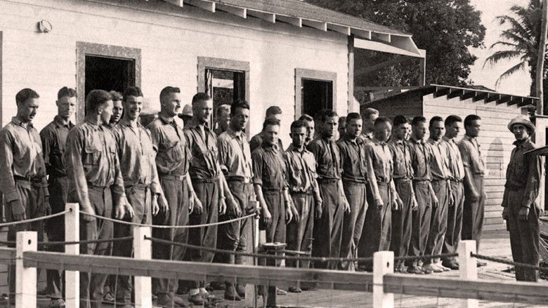 кадр из фильма The Millionaires' Unit