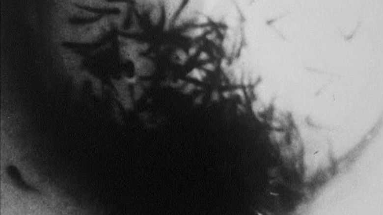 кадр из фильма Fischfang in der Rhön (an der Sinn)