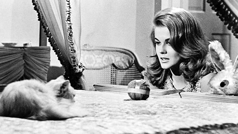 кадр из фильма Bus Riley's Back in Town