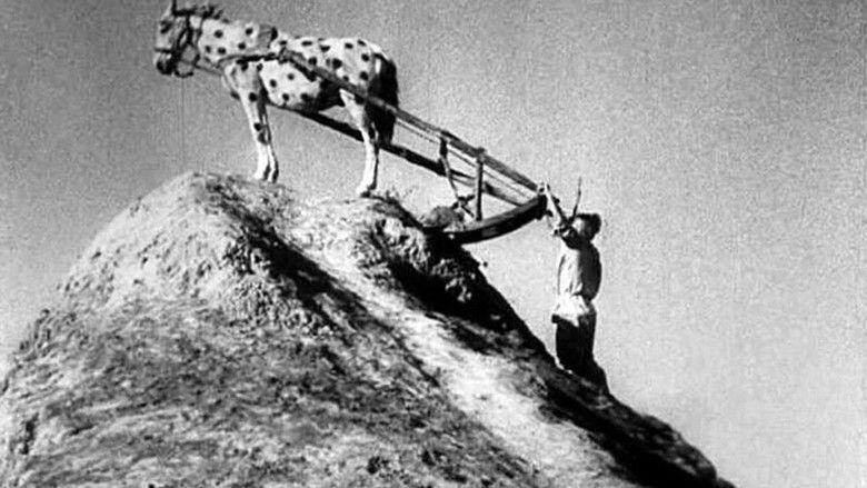 кадр из фильма Счастье