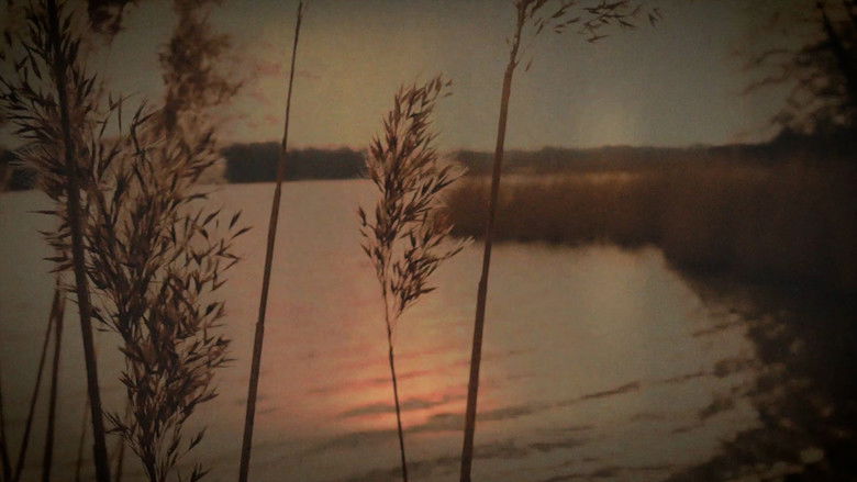 кадр из фильма STATIC