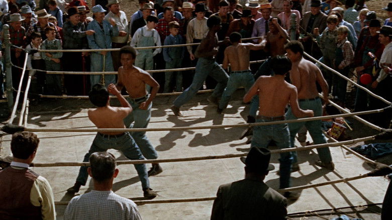 кадр из фильма The Learning Tree