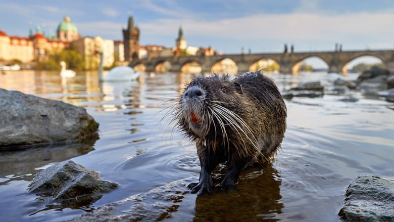 кадр из фильма Planeta Praha