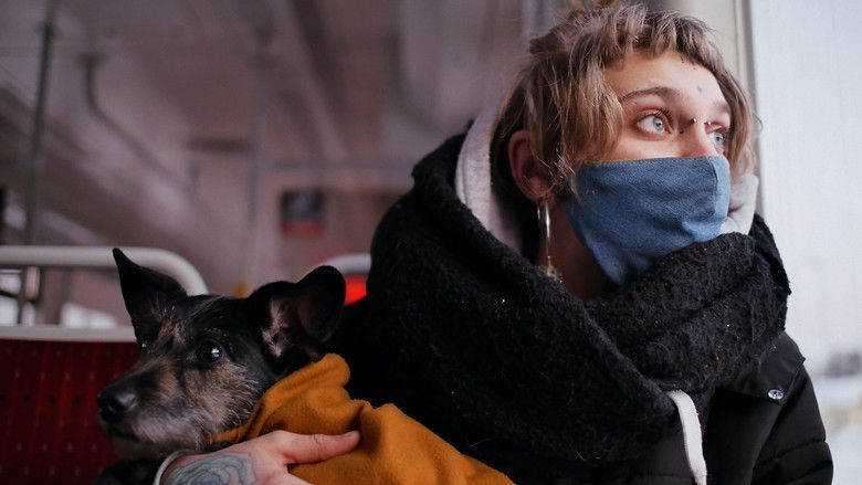 кадр из фильма Roberta