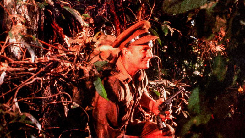 кадр из фильма Слишком поздно, герой