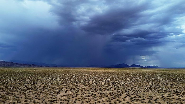 кадр из фильма Horror in the High Desert 4: Majesty