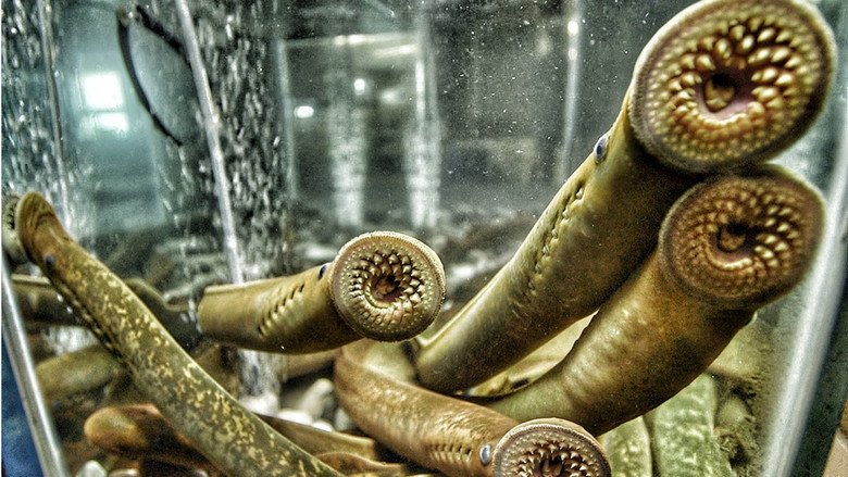 кадр из фильма Making Waves