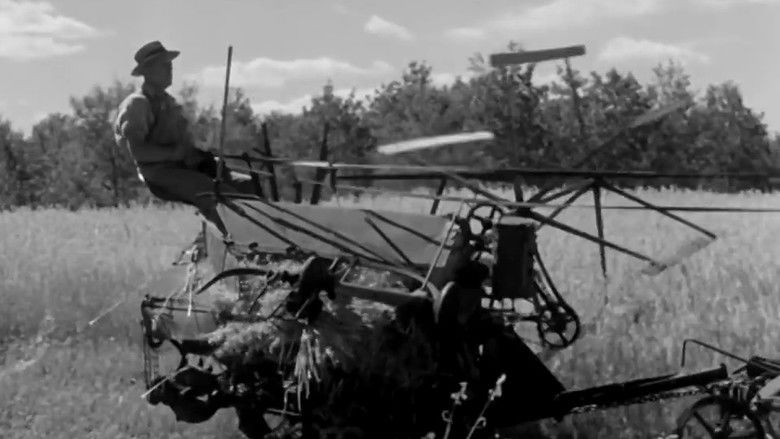 кадр из фильма Cornet at Night