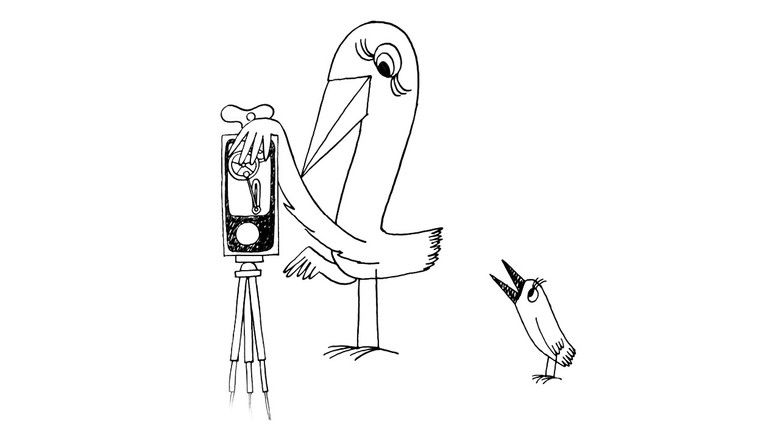 кадр из фильма Ptáci Koháci