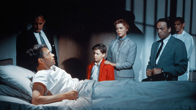 кадр из фильма Больше, чем жизнь