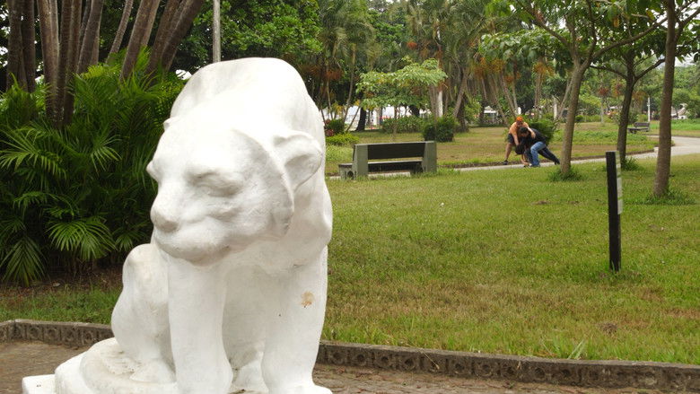 кадр из фильма A Sete Palmos de Santos