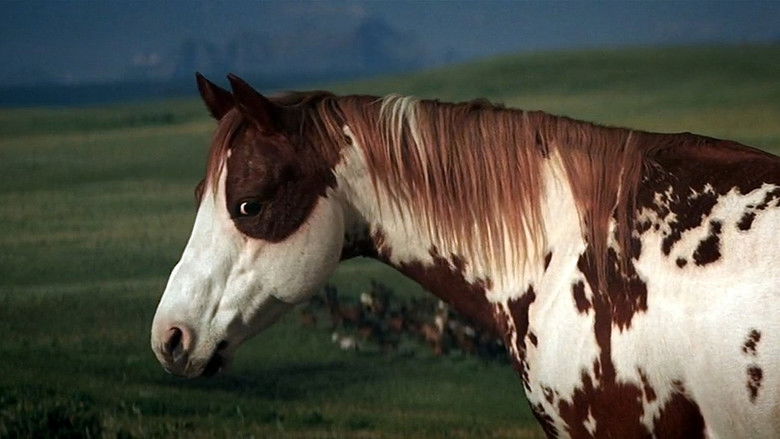 кадр из фильма Идальго: Погоня в пустыне