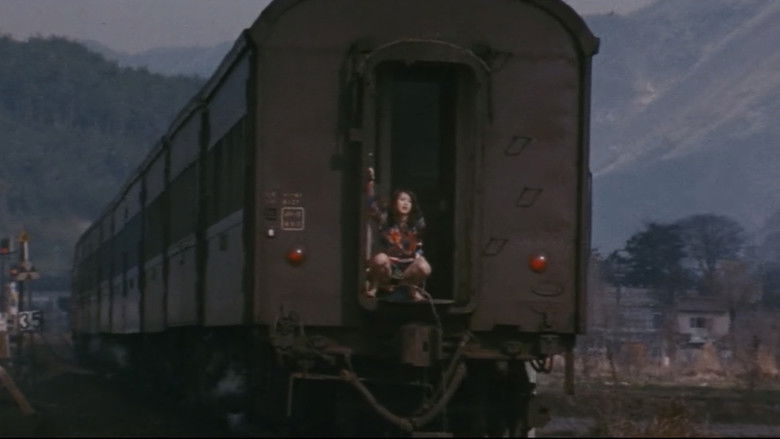 кадр из фильма 札幌・横浜・雄琴・博多 トルコ渡り鳥