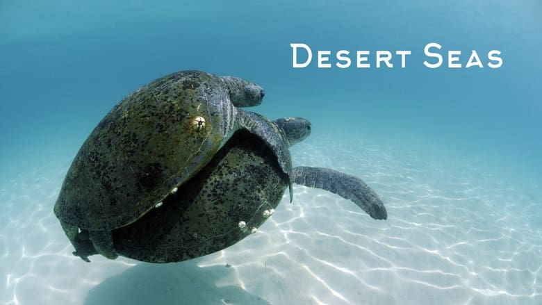 кадр из фильма Desert Seas