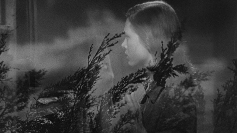 кадр из фильма Они живут по ночам