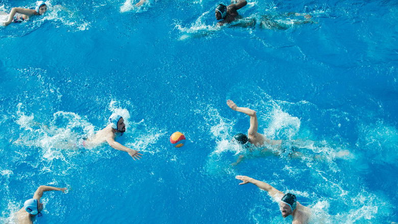 кадр из фильма Креветки в пайетках