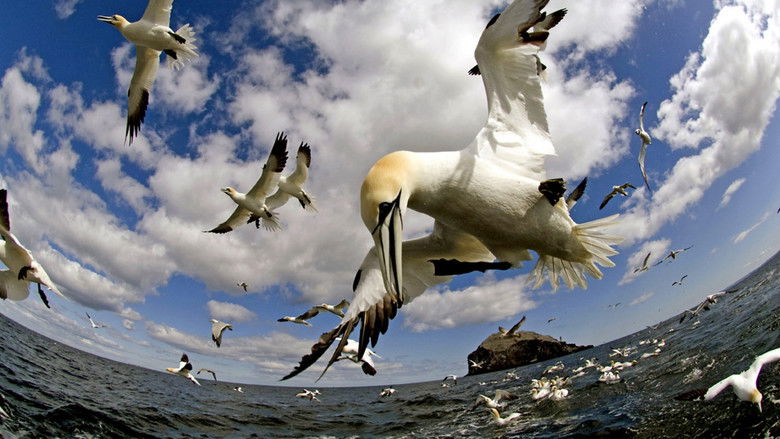 кадр из фильма Earthflight