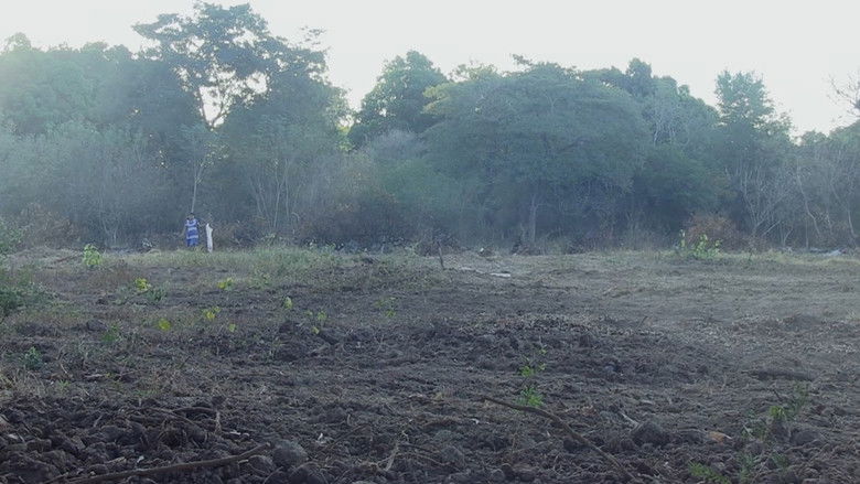 кадр из фильма Siempre Andamos Caminando