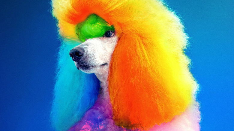 кадр из фильма Well Groomed