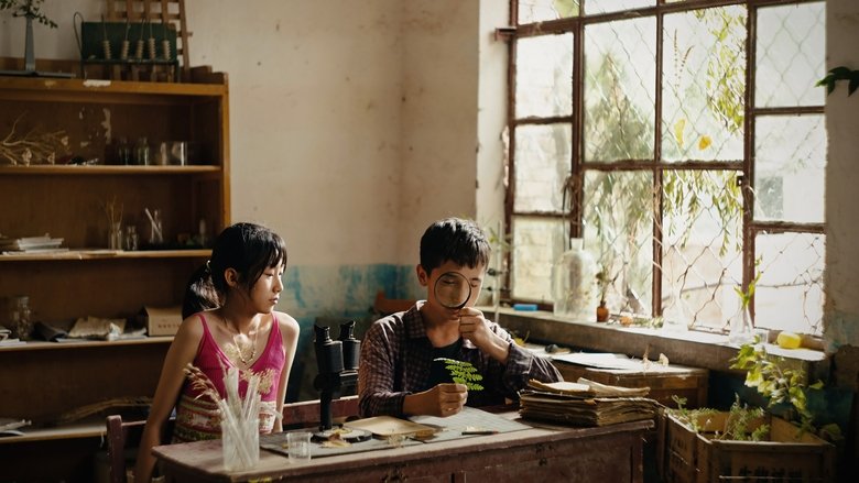 кадр из фильма 植物学家