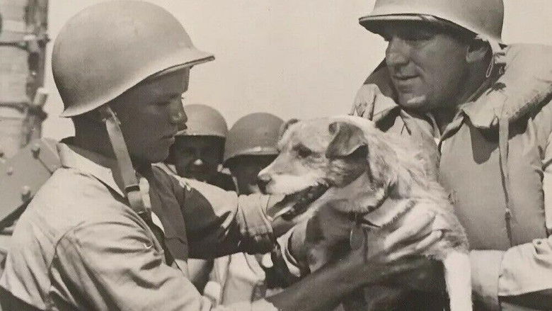 кадр из фильма Guadalcanal Diary