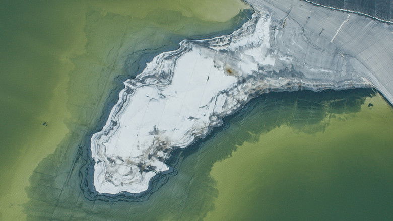 кадр из фильма Антропоцен: Эпоха людей