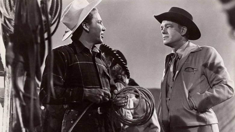 кадр из фильма Adventures of Gallant Bess