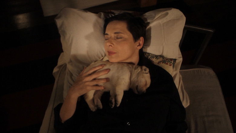 кадр из фильма Animals Distract Me