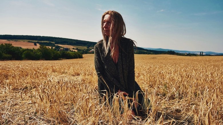 кадр из фильма Полдень