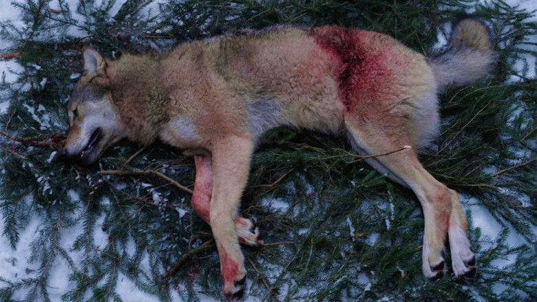 кадр из фильма Leif GW och vargen