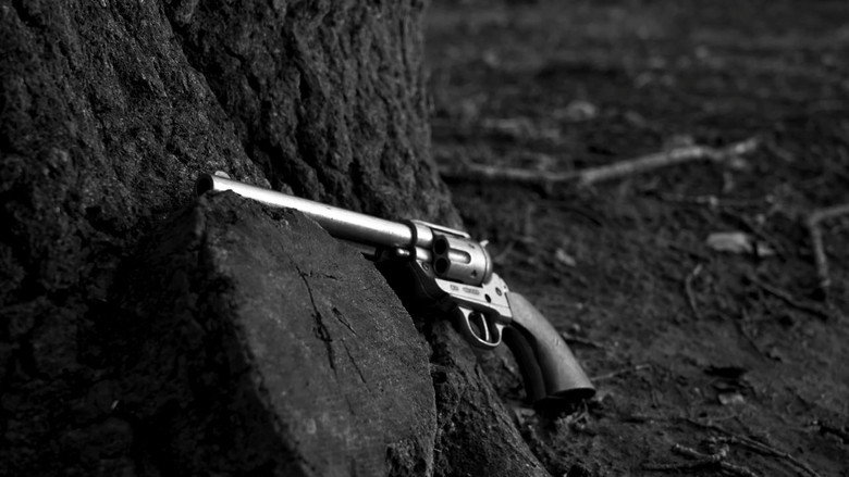 кадр из фильма A Dog Day