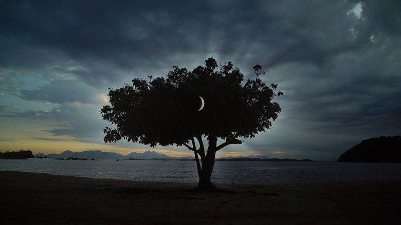 кадр из фильма O Prazer de Matar Insetos