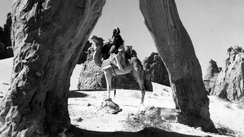 кадр из фильма Le Grand Désert