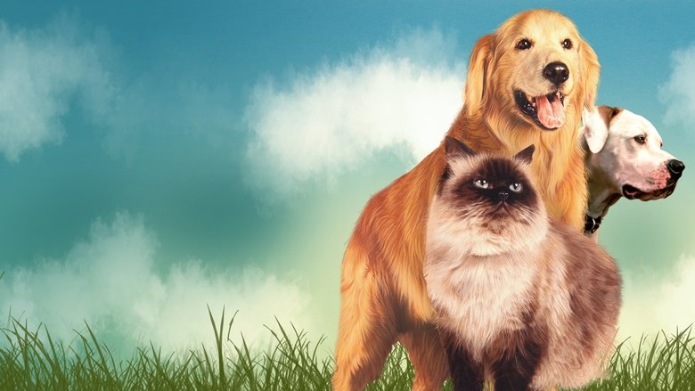 кадр из фильма Дорога домой: Невероятное путешествие