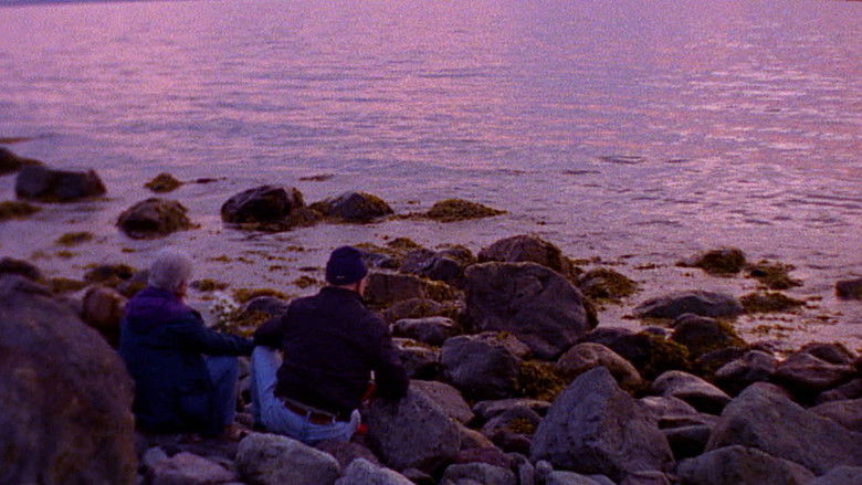 кадр из фильма Dear Zachary: A Letter to a Son About His Father