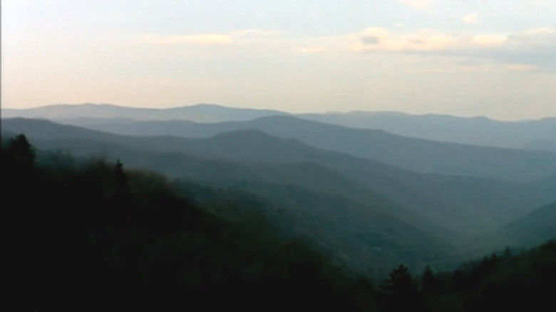 кадр из фильма Bigfoot Witness