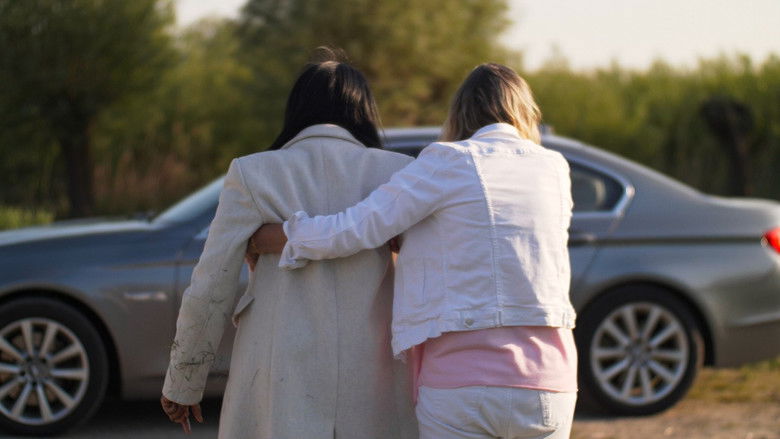 кадр из фильма The Astray