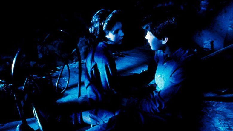 кадр из фильма Бумажный дом