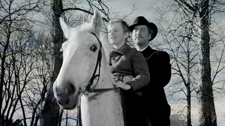 кадр из фильма Briggen Tre liljor