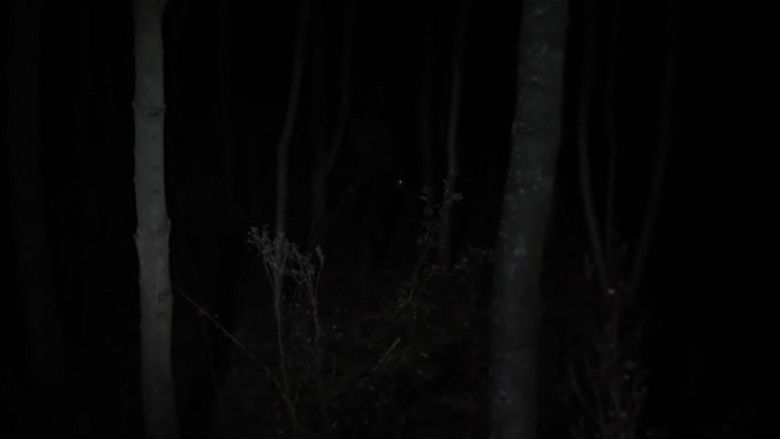 кадр из фильма Несмотря на ночь