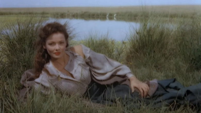 кадр из фильма Way of a Gaucho