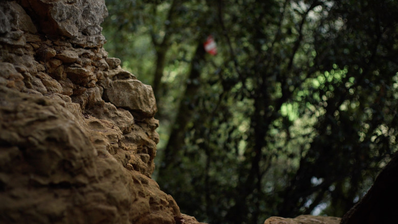 кадр из фильма Mycélium