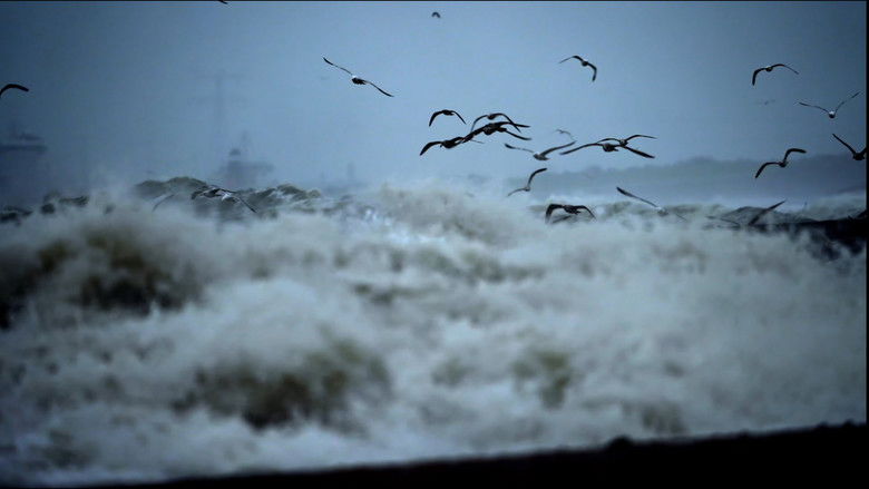 кадр из фильма Vindication to Victory