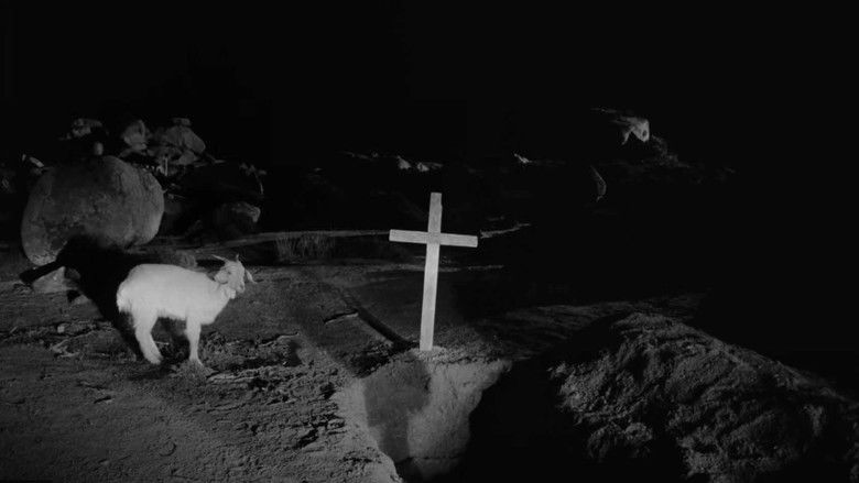 кадр из фильма Βληχή