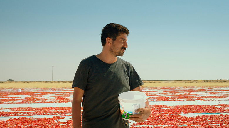 кадр из фильма Hemme’nin Öldüğü Günlerden Biri