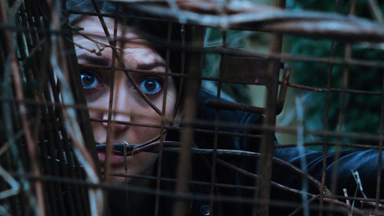 кадр из фильма The Magpie