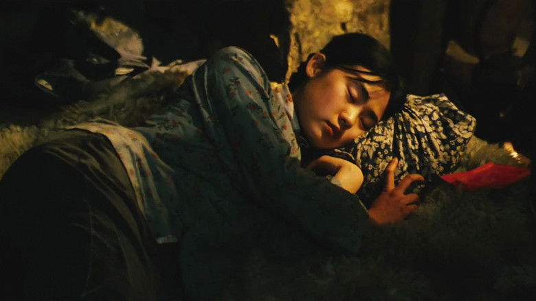 кадр из фильма 牧马人