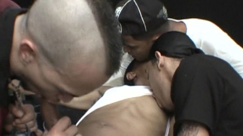 кадр из фильма 3 Little Pigs